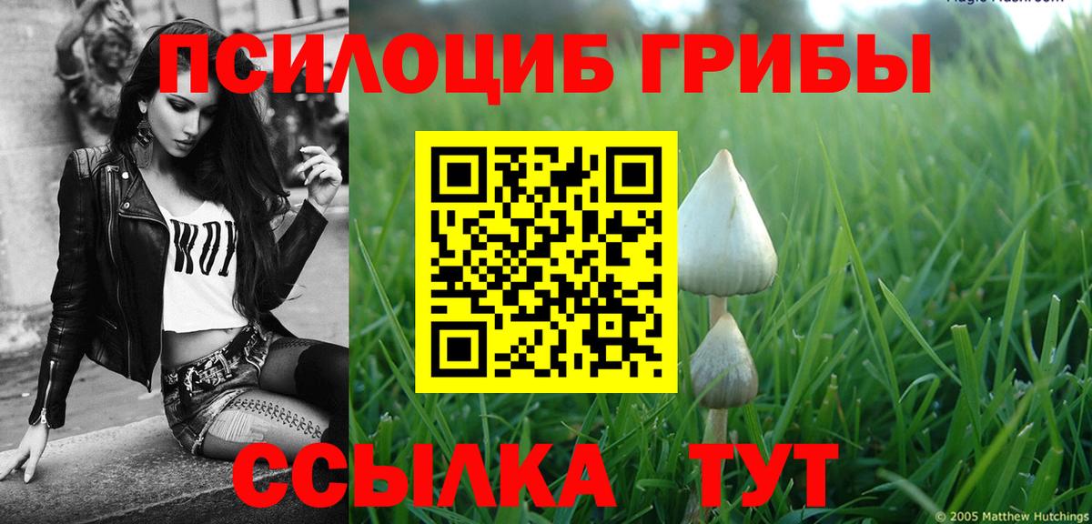 Менделеевск  Галлюциногенные грибы Psilocybe  Галлюциногенные грибы Psilocybine cubensis  Вход с VPN 